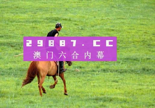 探索4949澳門彩網(wǎng)站，一網(wǎng)打盡彩票資訊與玩法，探索澳門彩網(wǎng)站，彩票資訊與玩法一網(wǎng)打盡