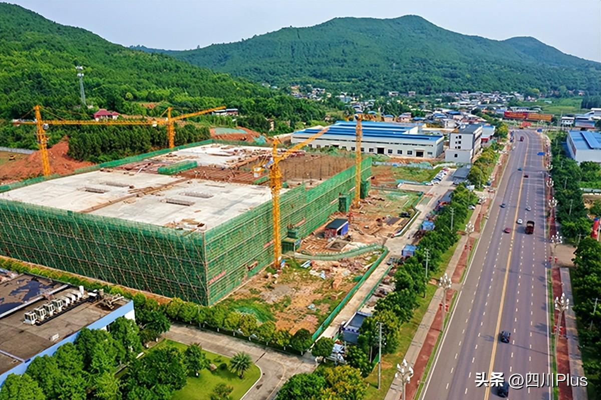 揭秘六和彩開碼資料2025，一網(wǎng)打盡彩票秘籍，揭秘六和彩開碼資料2025，一網(wǎng)掌握彩票秘籍之道