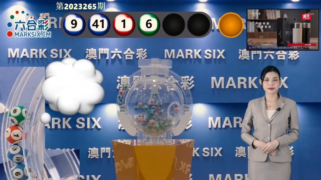 2025澳門(mén)天天六開(kāi)彩查詢指南，澳門(mén)天天六開(kāi)彩查詢指南 2025版