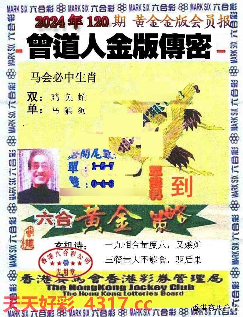 曾道正版資料免費大全網站的崛起與影響，正版資料免費大全網站的崛起及其影響分析