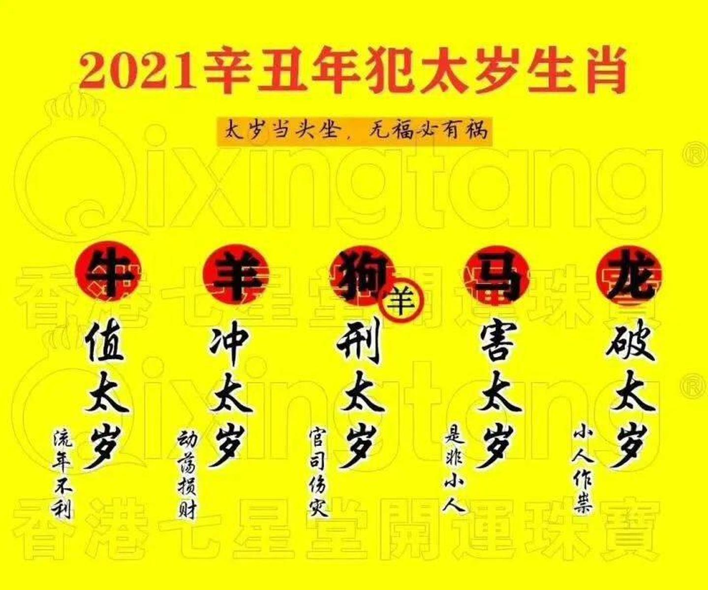 WW777766香港馬會總綱概覽，WW777766香港馬會總綱概覽介紹