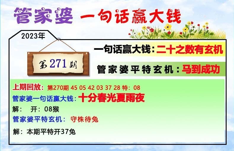 揭秘202管家婆一肖一碼，解碼神秘?cái)?shù)字的魅力，揭秘神秘?cái)?shù)字魅力，解碼管家婆一肖一碼的秘密