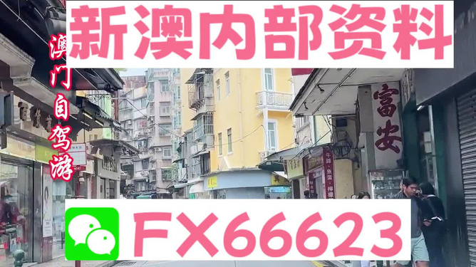 新澳精選資料免費(fèi)提供，新澳精選資料免費(fèi)分享