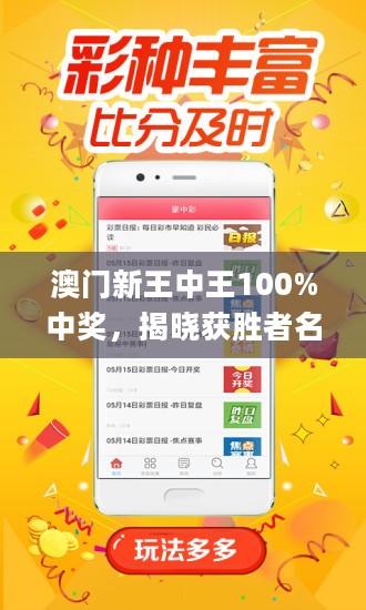 揭秘新澳門王中王，期期中之謎與博彩文化，揭秘新澳門王中王，期期中之謎與博彩文化探秘