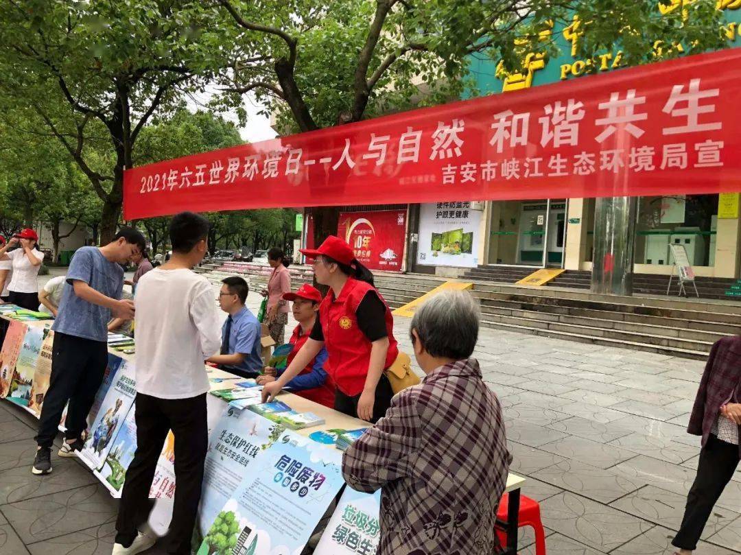 二四六香港天天開彩大全—揭秘彩票背后的秘密，揭秘彩票背后的秘密，香港天天開彩大全二四六開獎全解析