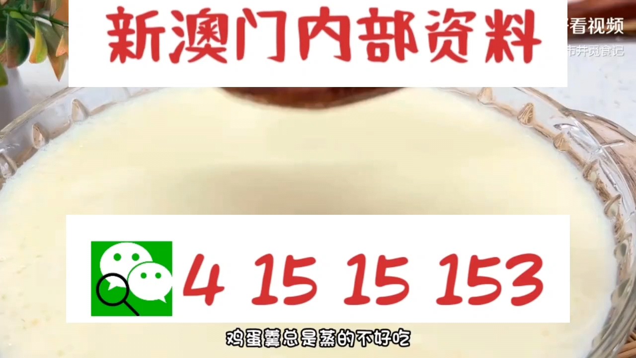 新澳門中特網(wǎng)中特馬—探索現(xiàn)代博彩文化的新領(lǐng)域，現(xiàn)代博彩文化新領(lǐng)域，新澳門中特網(wǎng)中特馬探索之旅