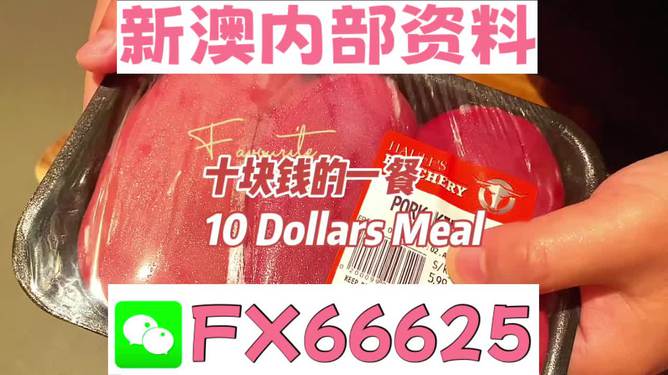 新澳精準(zhǔn)資料免費(fèi)提供，探索第221期的奧秘與價(jià)值，新澳精準(zhǔn)資料揭秘第221期奧秘與價(jià)值
