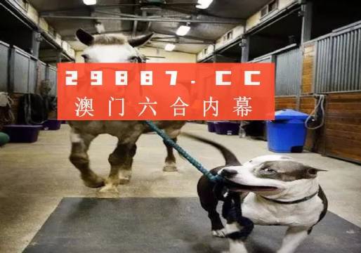 澳門一肖一碼一必中，同舟共濟向前行，澳門一肖一碼必中，同舟共濟向前行