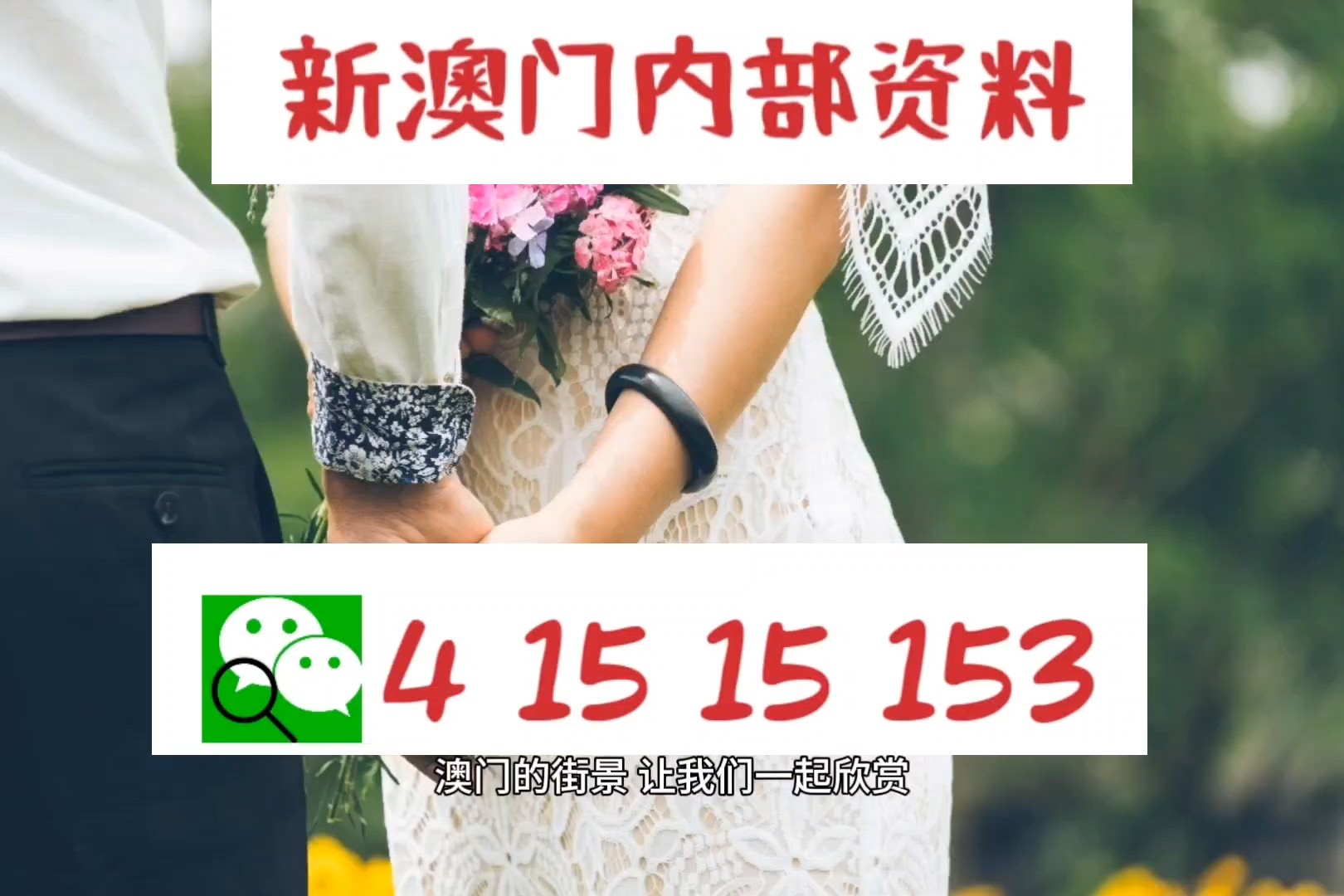 澳門免費精準資料，探索與解析，澳門免費精準資料解析與探索