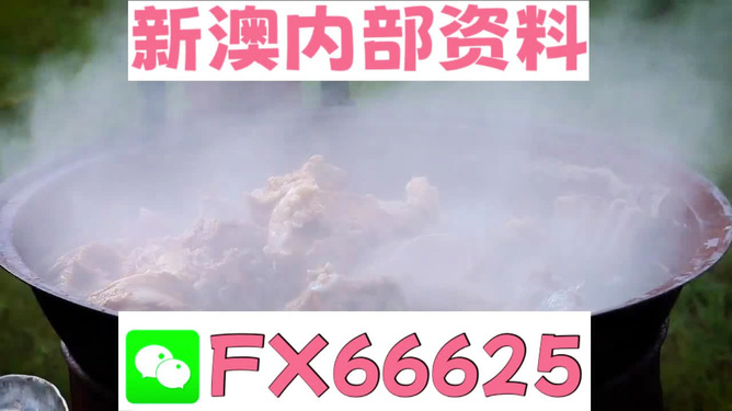 新澳全年免費資料大全，一網(wǎng)打盡各類資源，新澳全年免費資料大全，各類資源一網(wǎng)打盡