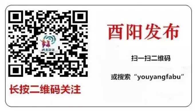 一肖一碼100%中將一，一肖一碼，百分百中獎(jiǎng)秘籍