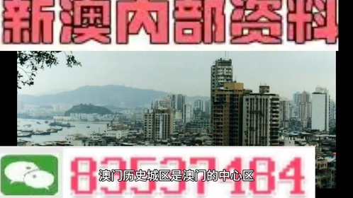 2025年澳門免費(fèi)資料大全特色，澳門特色免費(fèi)資料大全（2025版）
