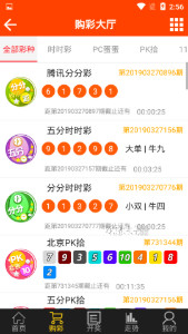 揭秘王中王493333中特開獎的神秘面紗，揭秘王中王493333中特開獎背后的秘密面紗