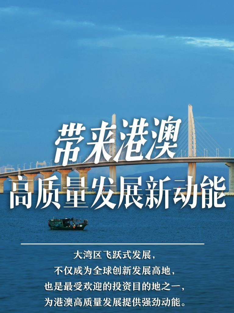 2025新澳門精準(zhǔn)免費(fèi)大全，澳門最新精準(zhǔn)免費(fèi)資料大全（2025版）