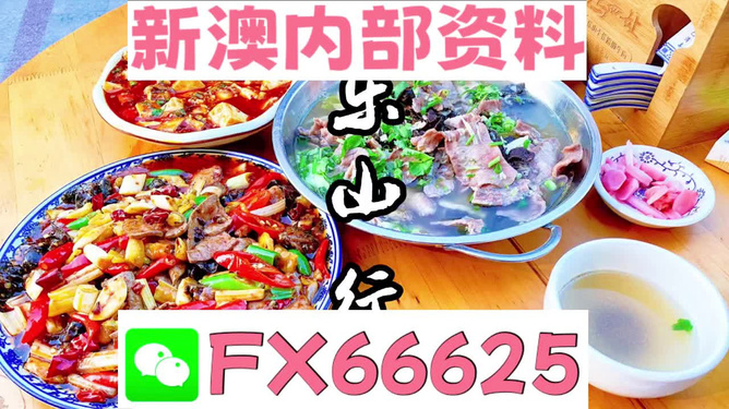 新澳全年免費資料大全，一網(wǎng)打盡各類資源，新澳全年免費資料大全，各類資源一網(wǎng)打盡