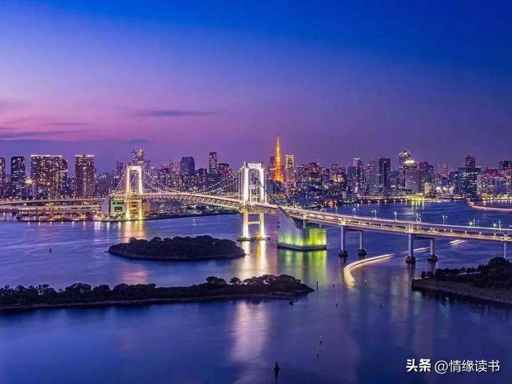 探索未來，香港2025全年免費資料大揭秘，香港2025全年免費資料大揭秘，探索未來之門開啟