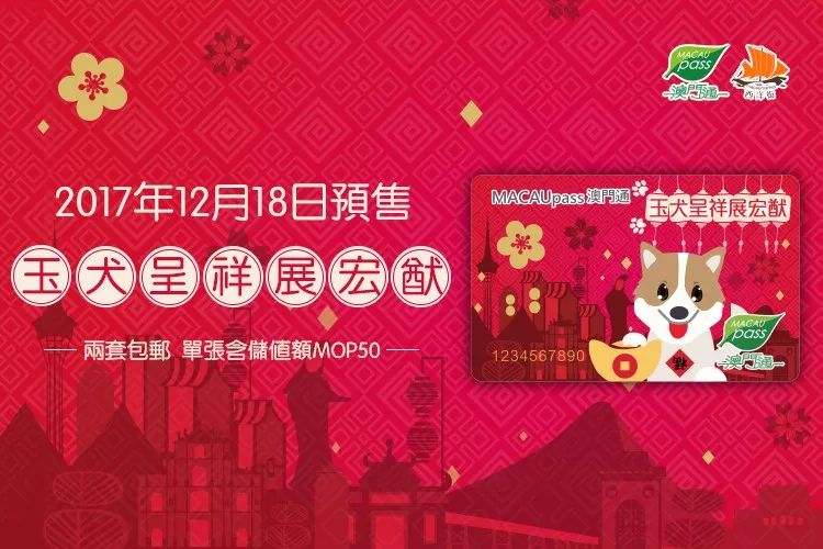 澳門正版資料大全資料生肖卡，澳門正版資料大全，生肖卡全收錄