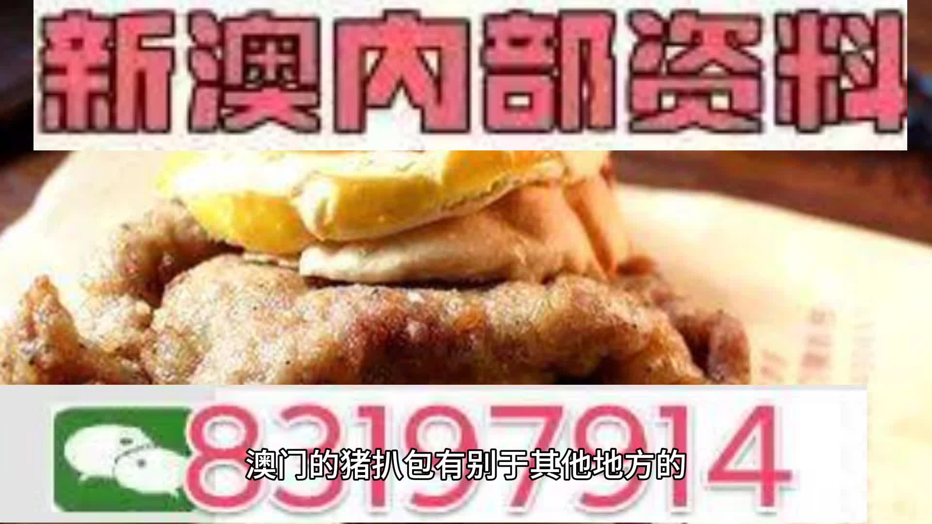 2025新澳精準(zhǔn)資料大全，2025新澳精準(zhǔn)資料大全手冊(cè)
