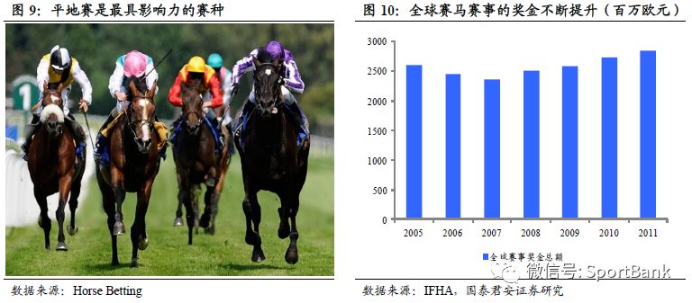揭秘，2025香港特馬今晚開獎背后的故事，揭秘香港特馬2025年今晚開獎背后的秘密故事