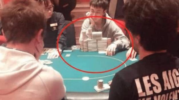 澳門四不像免費(fèi)正版資科大全，澳門四不像正版資料大全免費(fèi)獲取