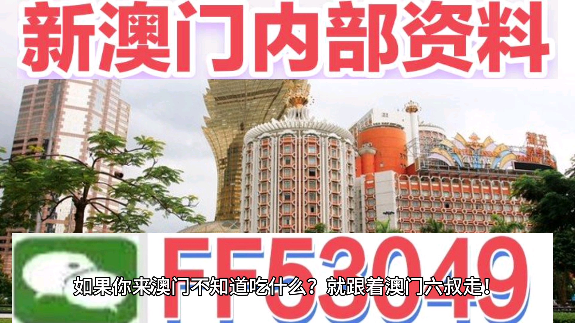 2025澳門特馬今晚開(kāi)獎(jiǎng)億彩網(wǎng)書肖在哪幾個(gè)，澳門特馬今晚開(kāi)獎(jiǎng)?lì)A(yù)測(cè)及書肖分析