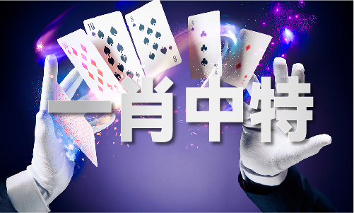 新澳門歷史記錄查詢表最新版，澳門歷史記錄查詢表最新版發(fā)布