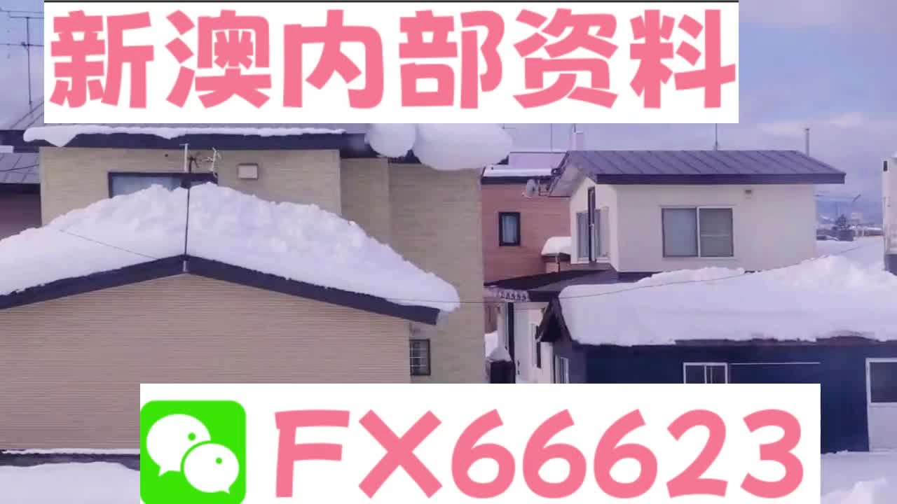 2025新澳精準資料大全解釋，2025新澳精準資料大全詳解
