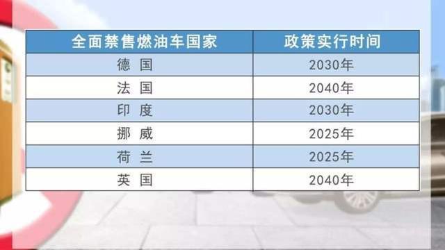 2025年度白小姐四肖選一肖，揭秘2025年度白小姐四肖選一肖的神秘面紗