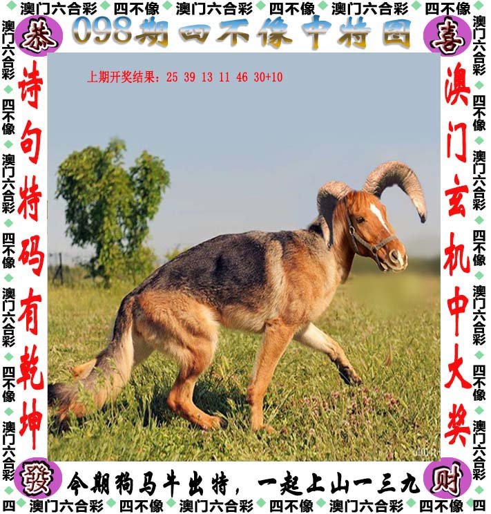 四不像正版資料，四不像正版資料詳解