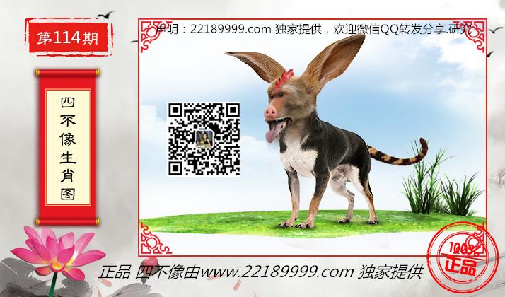 四不像正版資料查看，四不像正版資料詳查