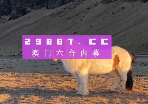 探尋澳門今晚開出的生肖秘密，澳門今晚生肖秘密揭曉，探尋開出的生肖奇跡