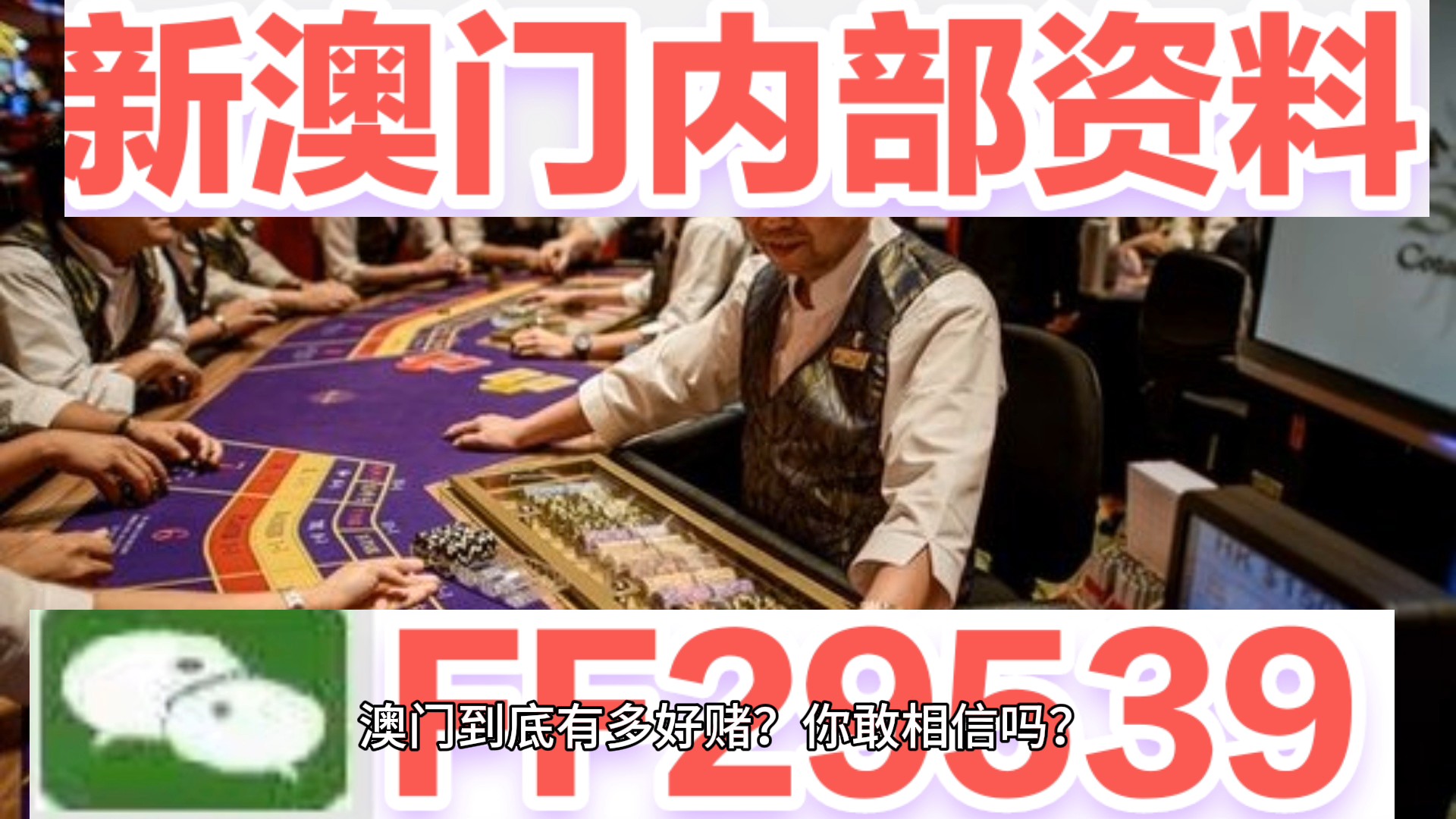 2025年澳門天天開好大全紅波—探索未來的繁榮與機遇，澳門未來繁榮與機遇展望，天天開好，紅波涌動至2025年