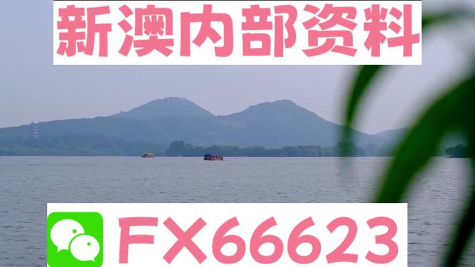 新澳今天最新資料解析，新澳今日最新資料深度解析