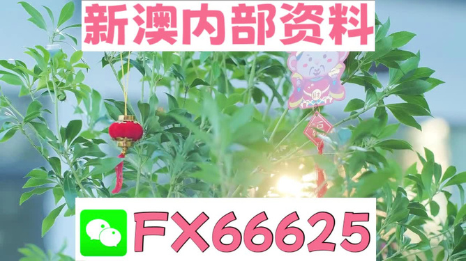新澳好彩免費資料查詢背后的故事，水果奶奶醉八仙，新澳好彩免費資料查詢背后的故事，水果奶奶的八仙醉傳奇
