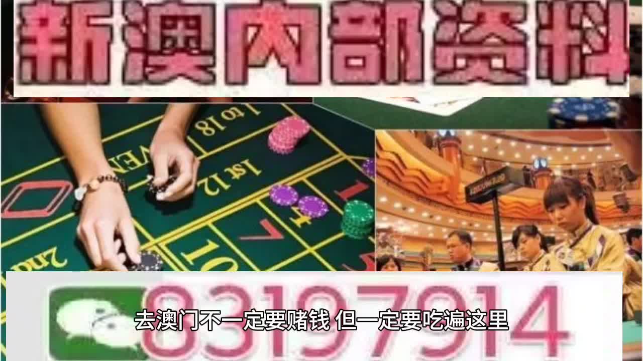 新澳門特免費大全7456，探索澳門的魅力與特色，澳門魅力探索，新澳門特免費大全7456