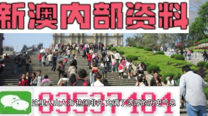 澳門最精準免費資料大全旅游團—探索澳門之美，澳門探索之旅，最精準免費資料大全旅游團
