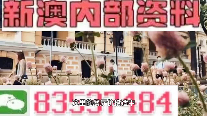 澳門最精準(zhǔn)免費(fèi)資料大全旅游團(tuán)，一站式體驗(yàn)澳門的魅力，澳門旅游團(tuán)一站式體驗(yàn)，最精準(zhǔn)免費(fèi)資料大全，探索澳門魅力
