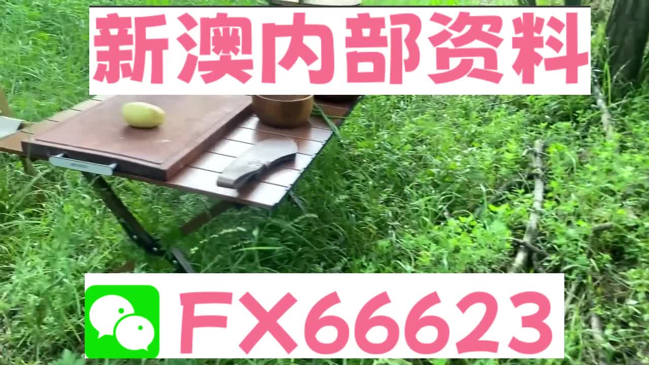 揭秘2025新澳精準(zhǔn)資料大全，深度解析與前瞻展望，揭秘2025新澳精準(zhǔn)資料大全，深度解析及未來展望