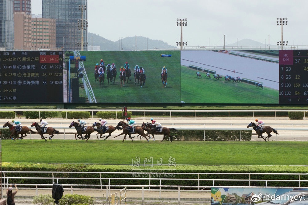 2025新澳門今晚開特馬直播，澳門特馬直播預(yù)告，揭秘今晚開獎懸念