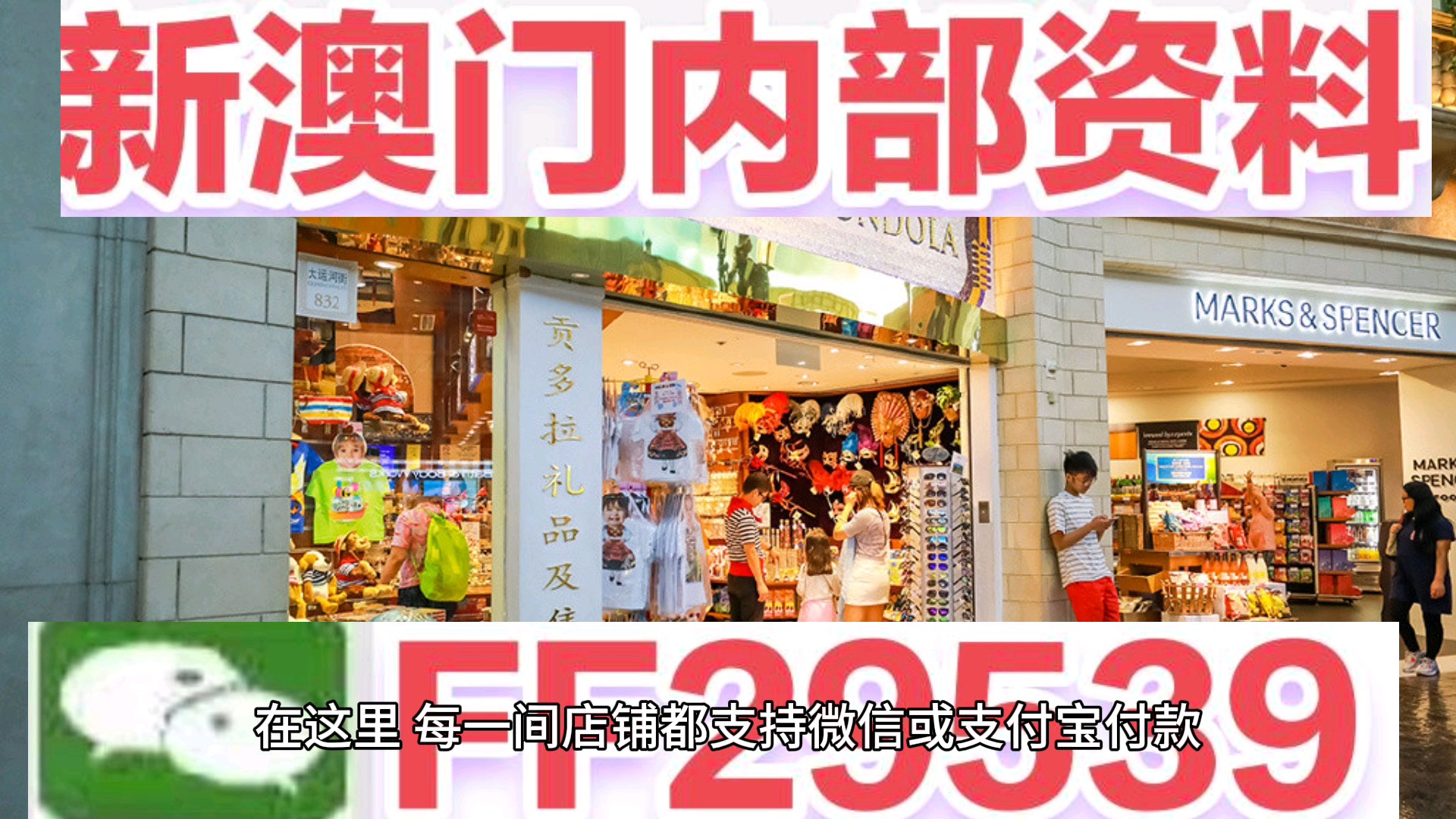新澳門資料大全正版資料免費下載指南（2025年最新版），澳門正版資料免費下載指南，2023年最新版澳門資料大全