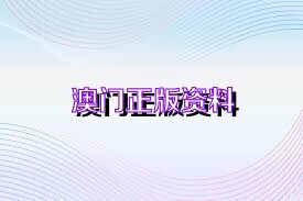2025澳門免費資料,正版資料，澳門正版資料2025年免費版揭秘