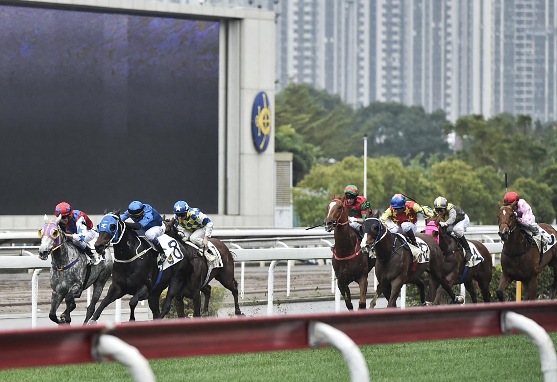 澳門賽馬會網址大全免費—一網打盡澳門賽馬所有精彩，澳門賽馬會精彩一網打盡，免費網址大全