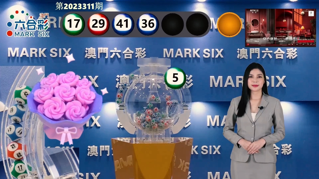 新澳門彩歷史記錄，澳門彩歷史記錄概覽