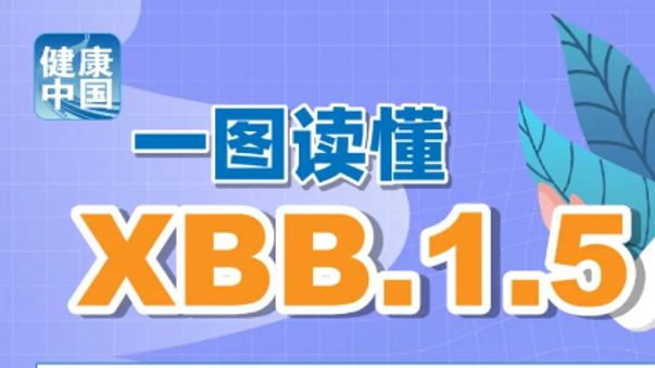 探索澳門，2025正版資料的魅力之旅，澳門之旅，探索魅力與2025正版資料之謎