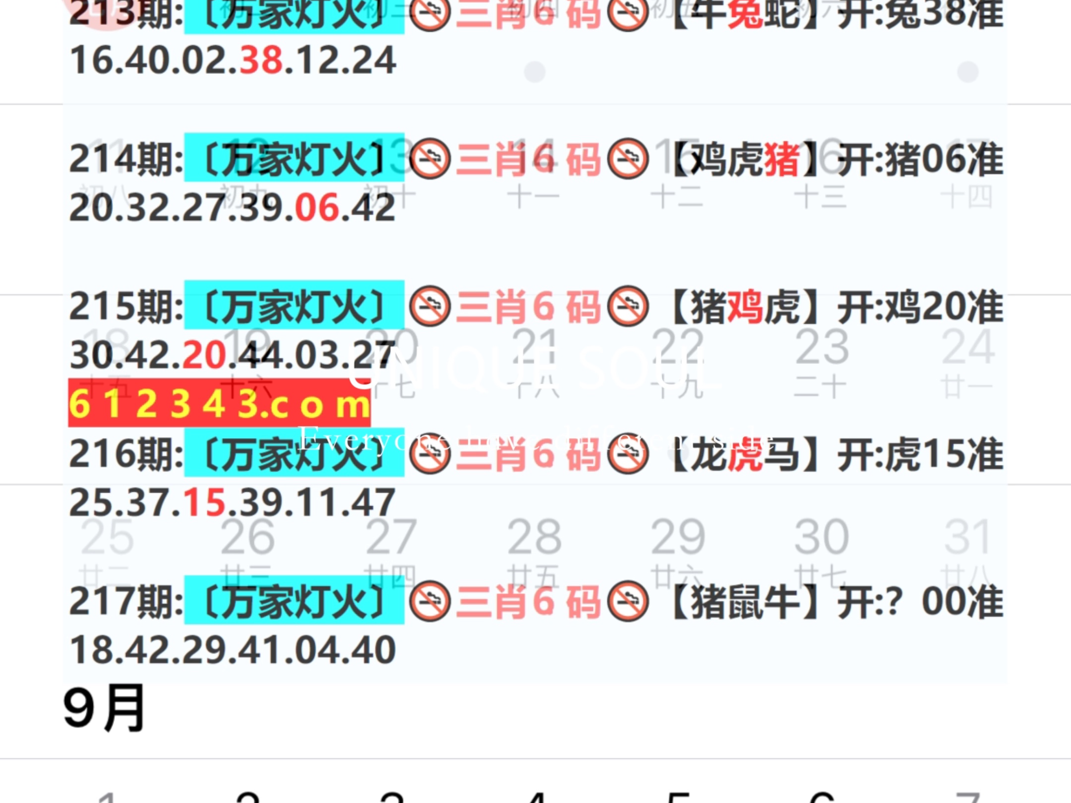 新奧彩資料長(zhǎng)期免費(fèi)公開,奧門，澳門新奧彩資料長(zhǎng)期免費(fèi)公開分享