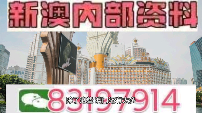 澳門今晚開什么生肖碼，澳門今晚生肖碼預(yù)測