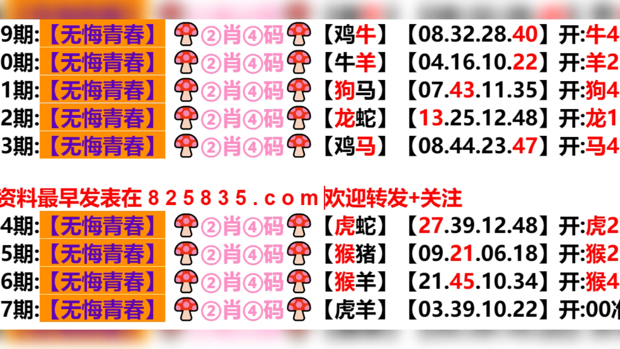 新奧門資料免費大揭秘，2025年49期前沿展望，新奧門資料免費揭秘與未來展望