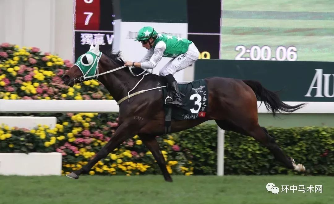 香港今晚開什么特馬，香港今晚特馬開獎結果