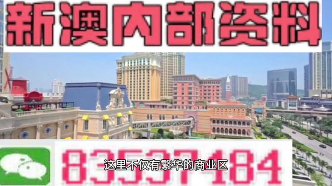 新澳新澳門正版資料，探索與解讀，新澳新澳門正版資料的探索與解讀
