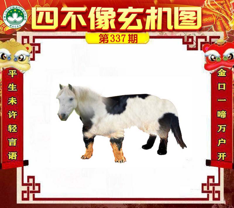 四不像今晚必中一肖—揭秘彩票背后的秘密，揭秘彩票背后的秘密，四不像預(yù)測(cè)今晚必中一肖的真相